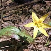 WP_20160402_023